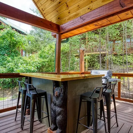 Ern841 - Sweet Feet Retreat - Location, Location, And Private Indoor Pool! Cabin-2